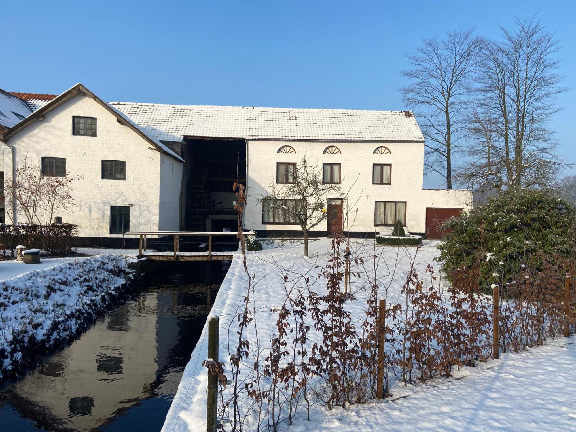 Vakantiewoning Wurfeldermolen Maaseik Exterior foto